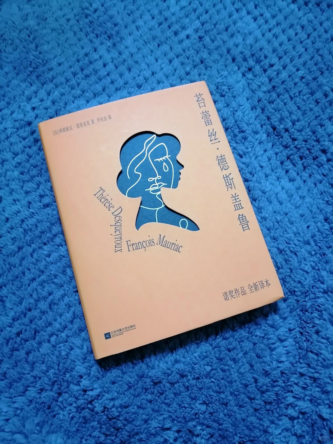 《苔蕾丝.德斯盖鲁》
作者：弗朗索瓦.莫里亚克
出版社：江苏凤凰文艺出版社
	
...