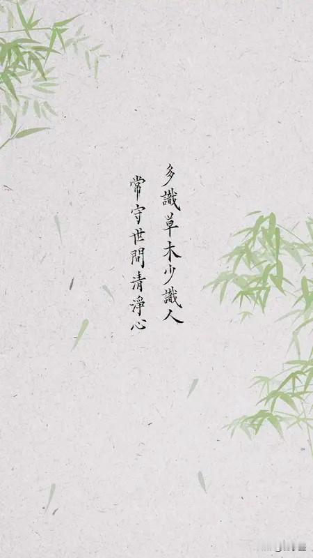小时候怕孤单，长大后怕热闹。✨

人生的常态，是热闹一阵子，孤独一辈子。

我们