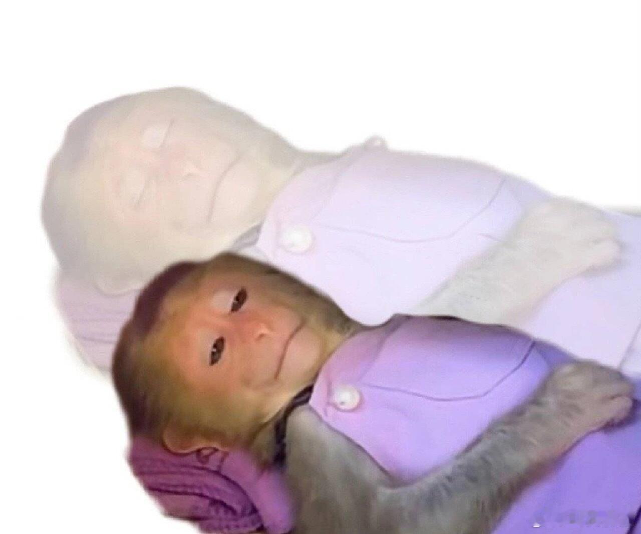 全国流感阳性率接近45% 感觉自己中招了，已经咳了一天了，太难受了！大家一定要注