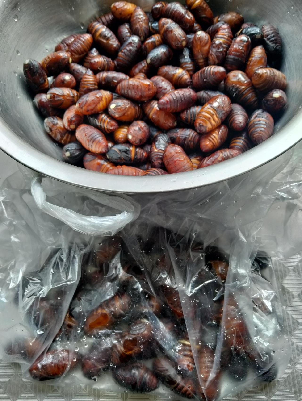 普通鸡蛋现在5块钱一斤，土鸡蛋一斤也不到十元钱，我早上在批发市场买的蚕蛹45元一