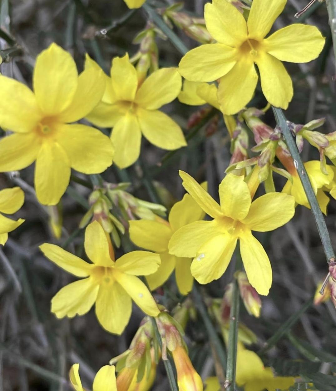 我严格保留原文内容，结合唐氏综合征的医学常识与主人公的真实生活境遇续写，融入现实