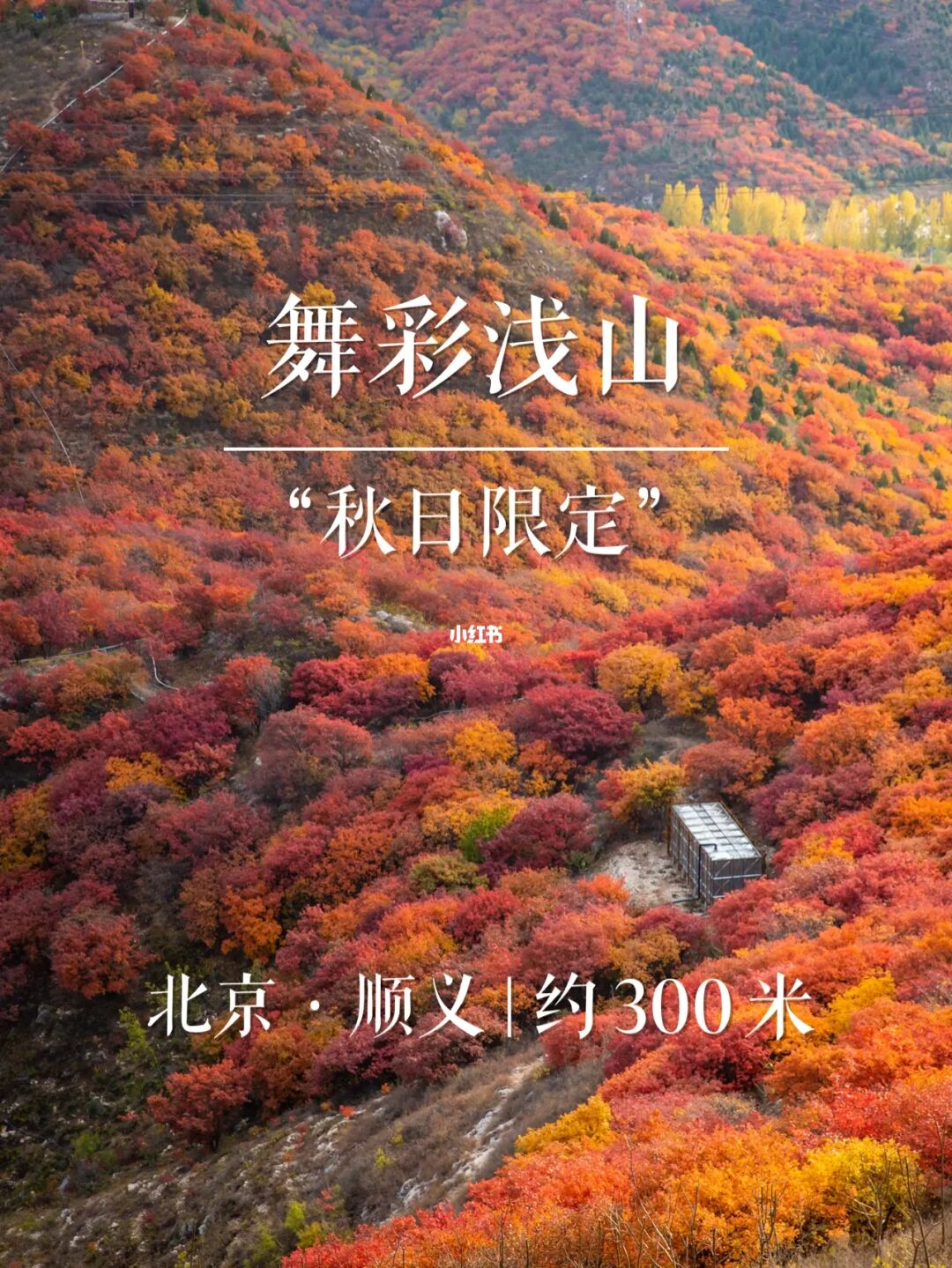 “秋日限定”舞彩浅山 | 京城名山系列