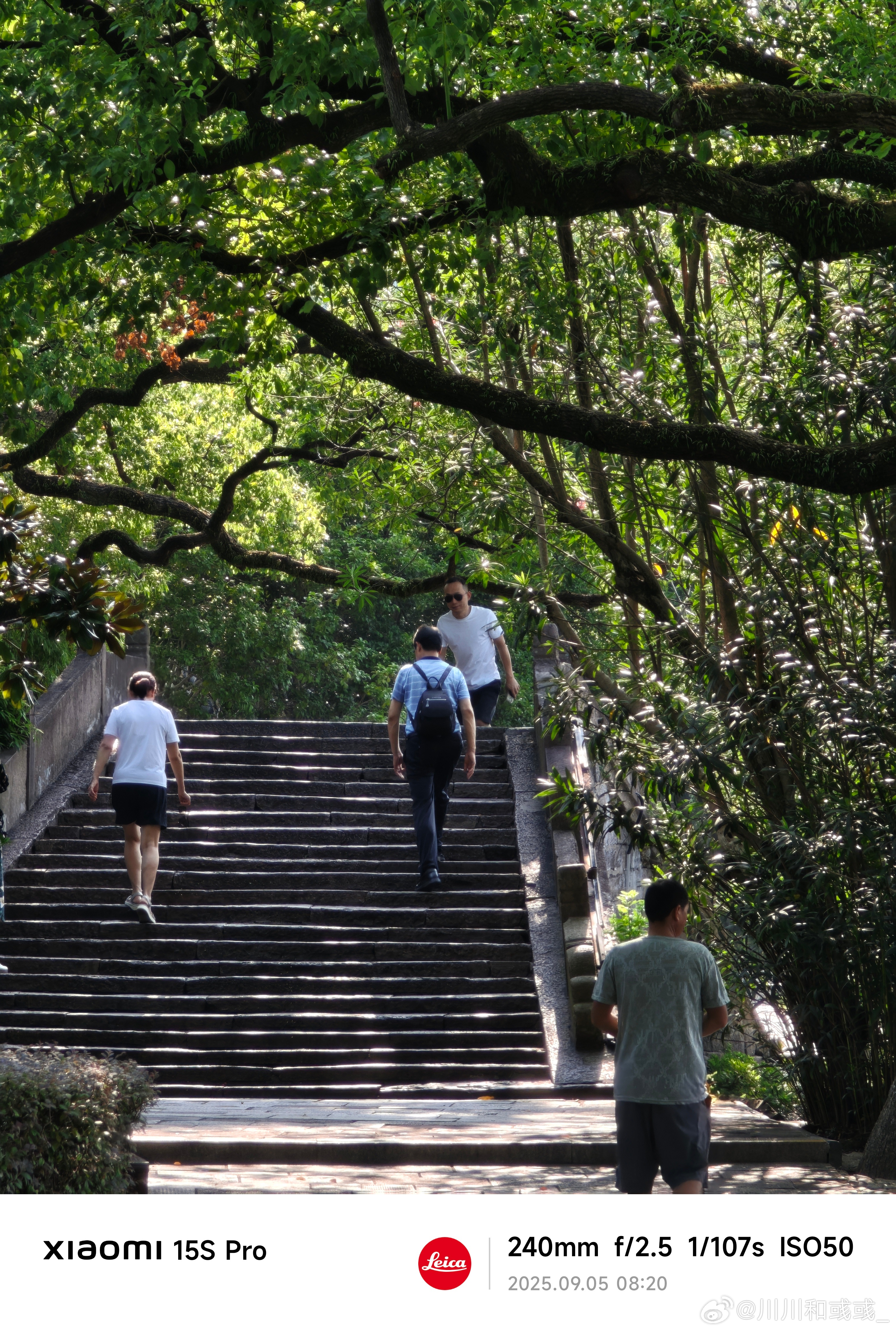 不得不说，这边确实比重庆天亮得早呀。大家早安[馋嘴]  ​​​