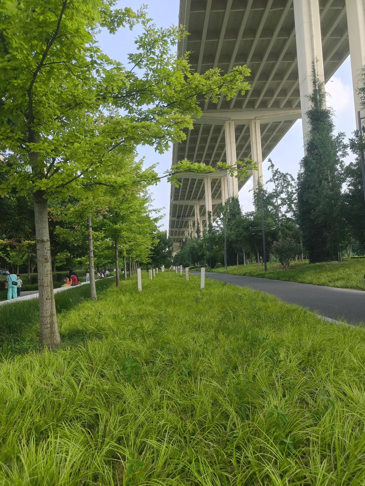 世博文化公园荷花睡莲展~🪷

世博大道地铁🚇站4️⃣号口出

不用找一眼就看