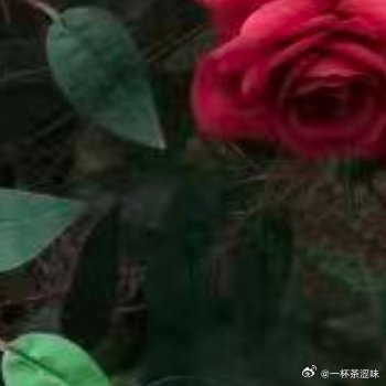 阳光信用 面朝大海，春暖花开，给自己的心一个港湾，盛风盛雨盛欢笑；给自己的心一片