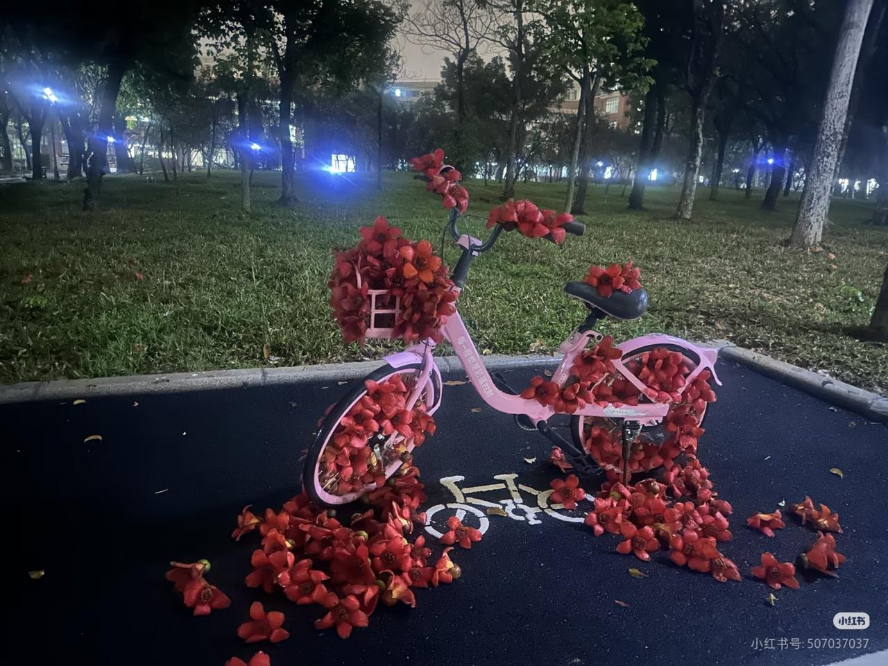 分享我这周有趣的事：分享我这周超有趣的小事！偶然撞见被木棉花铺满的小粉单车，花瓣