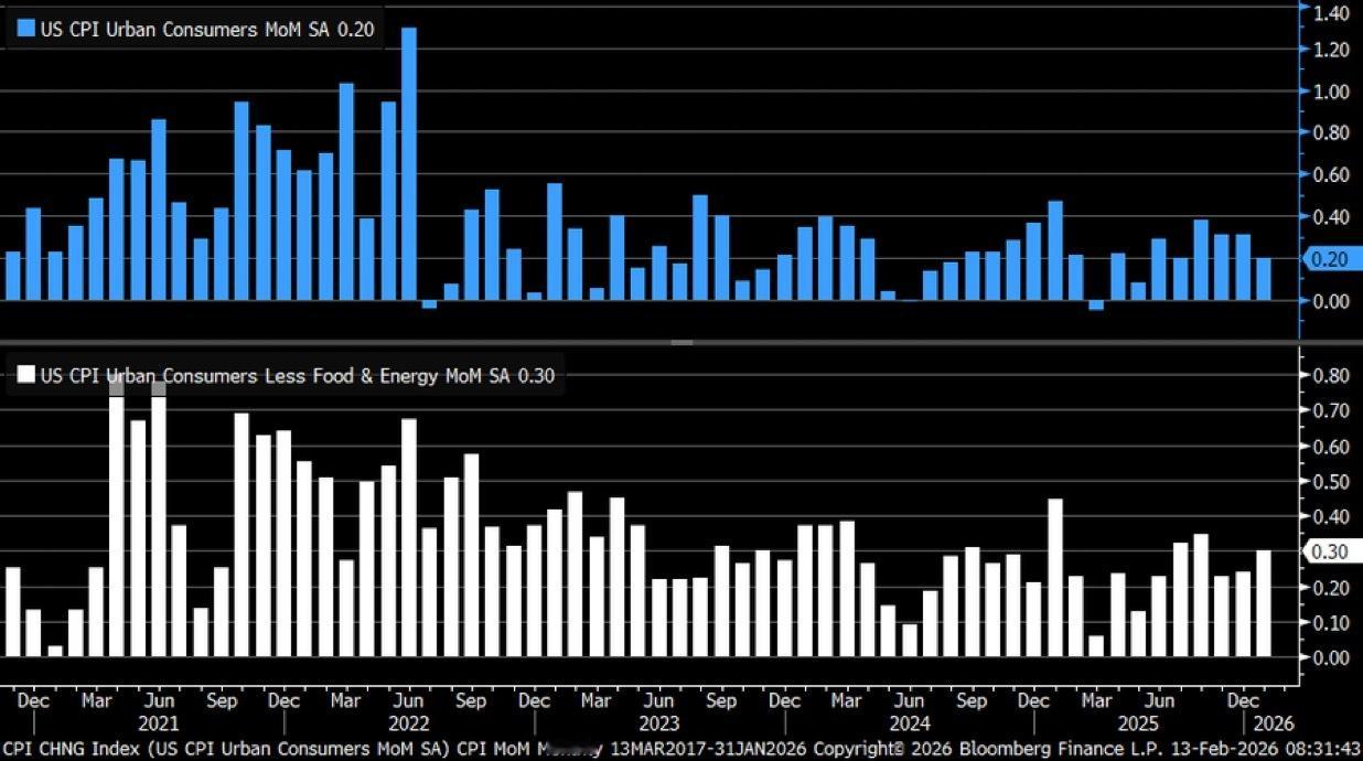 1月美国通胀数据低于经济学家的预期，不过这一时期的数据通常波动较大。美国经济数据