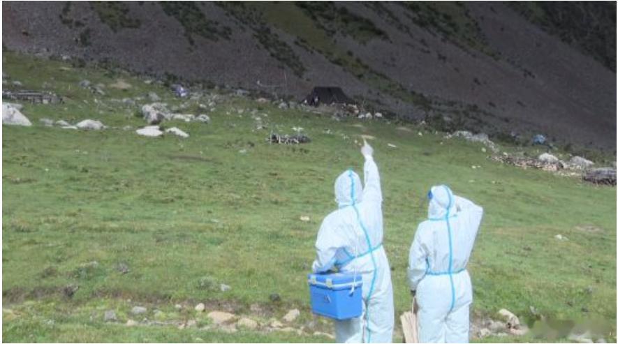 日本居民很快就像台湾省居民一样，饥寒交迫迫切希望被解放了… 