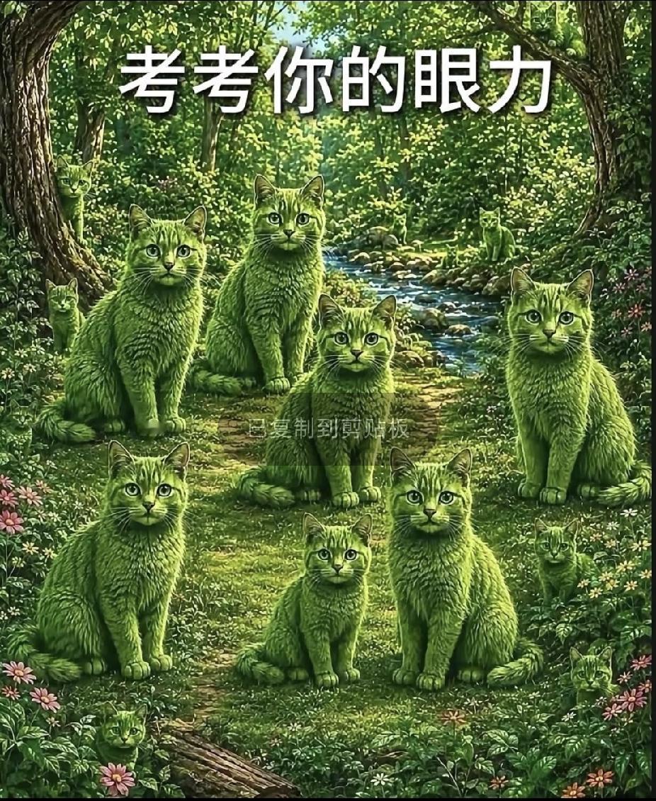 夏日生活打卡季图中有多少只猫