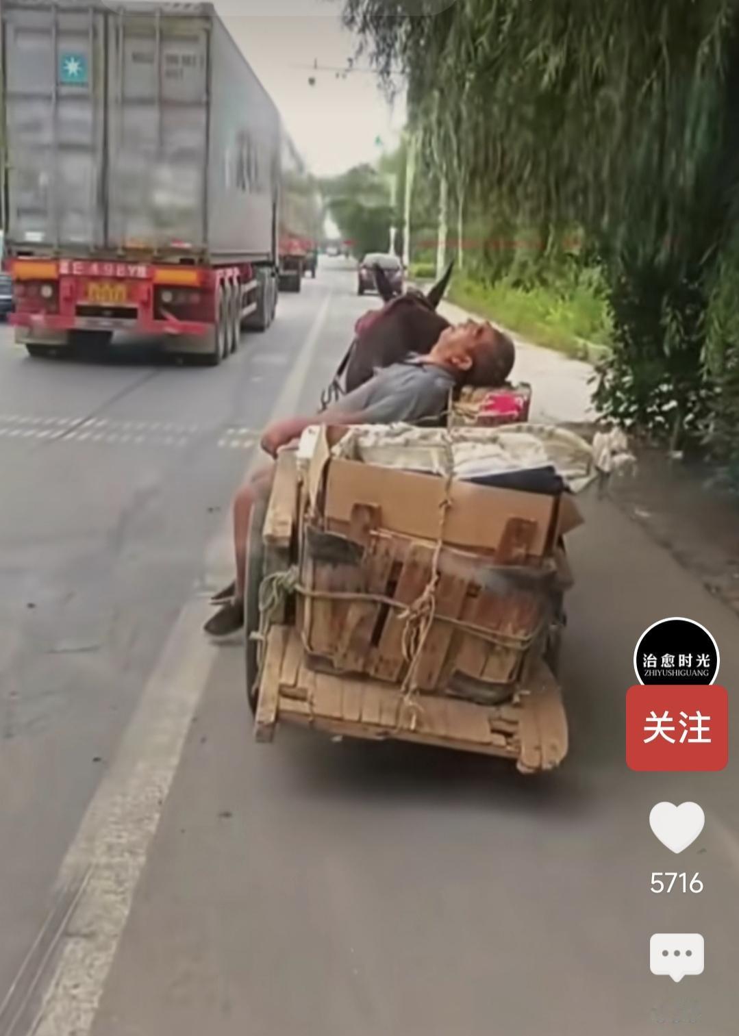老人买完瓜累了，回家转，他的老伙计安全把他带回家。这是“无人驾驶”，这是“老马识