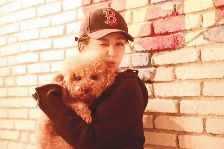 杨紫15岁的小狗生病做手术了piupiu是杨紫18岁成人礼的礼物，如今早已是不可