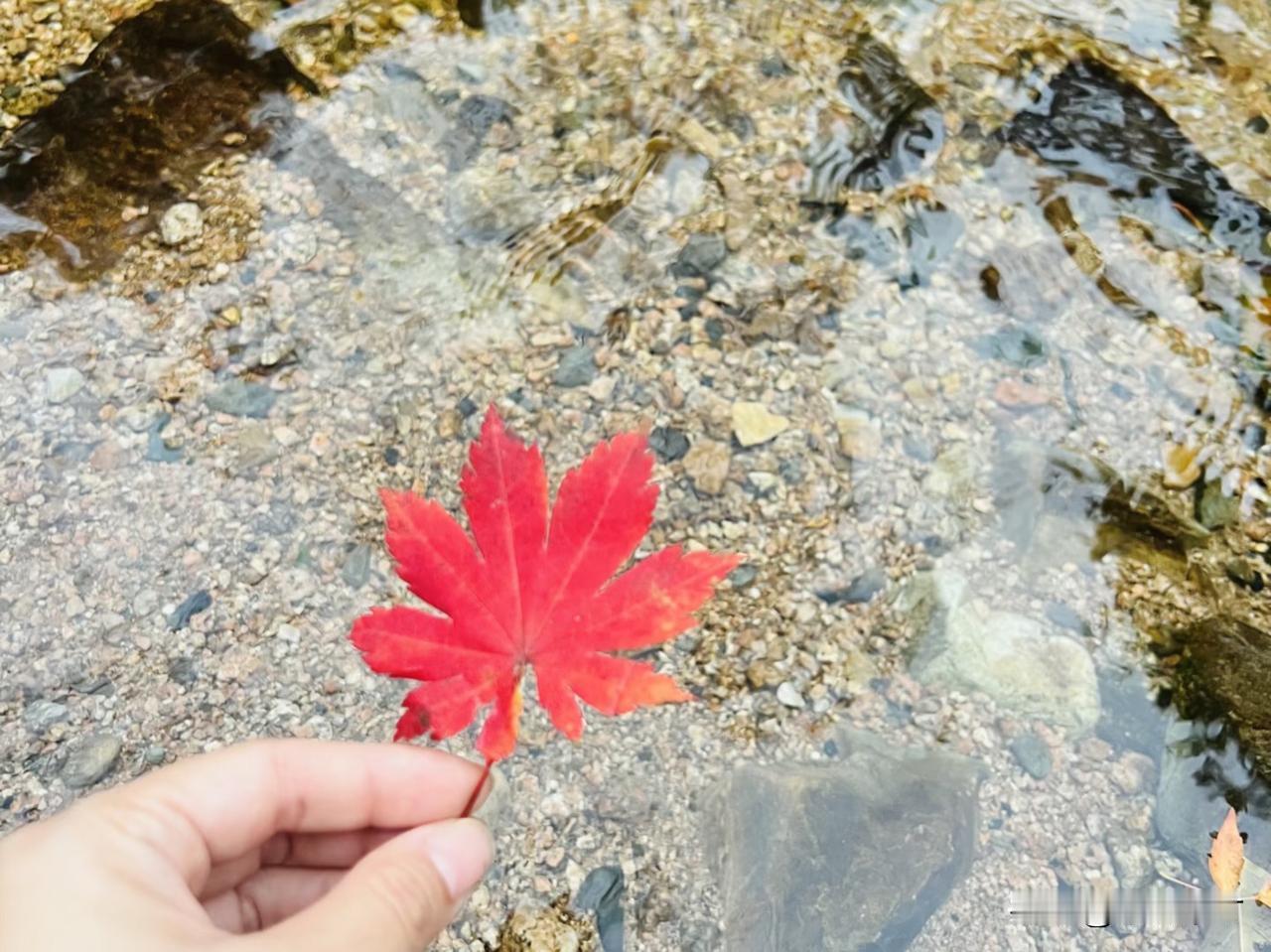 三十多岁的人生，本就该是充满弹性的阶段，不必被“到了什么年纪就该做什么事”的框架