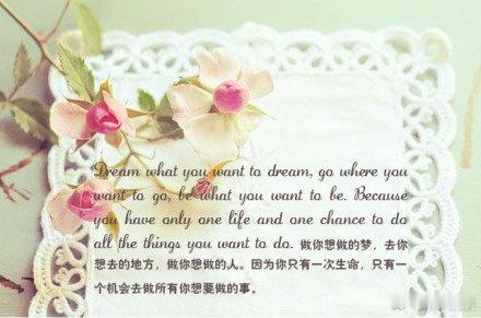 Dream what you want to dream, go where y