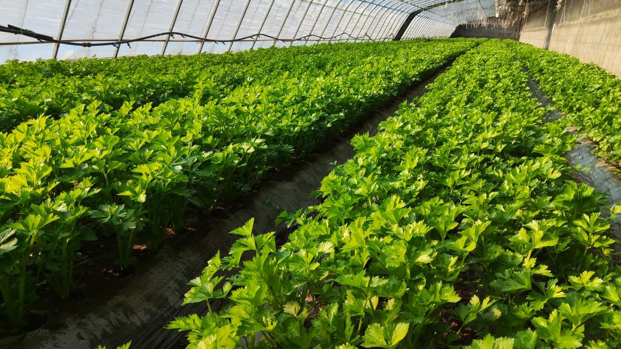 冬日生活打卡季温暖向阳～