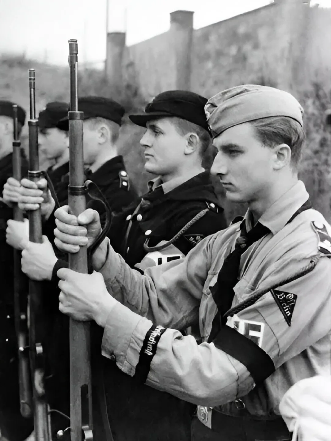 独裁者迷梦的炮灰：青年团