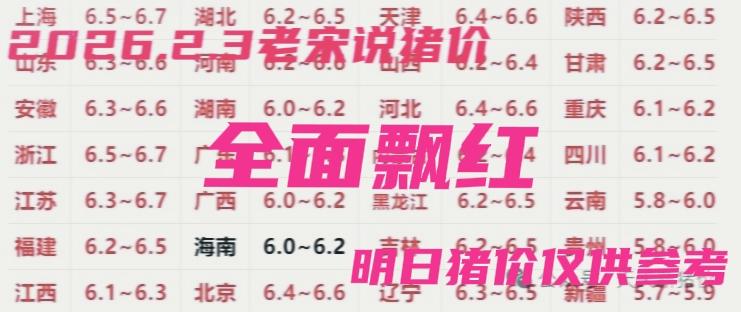 2026.2.3涨势大好！市场一片红！可喜可贺猪价迎来一波上涨行情，老宋说猪价仅
