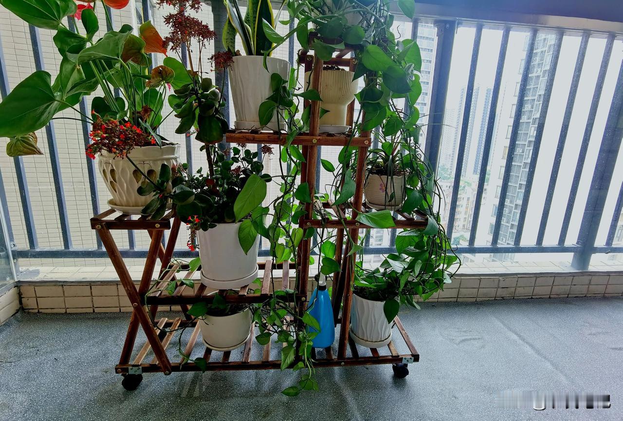 花花草草