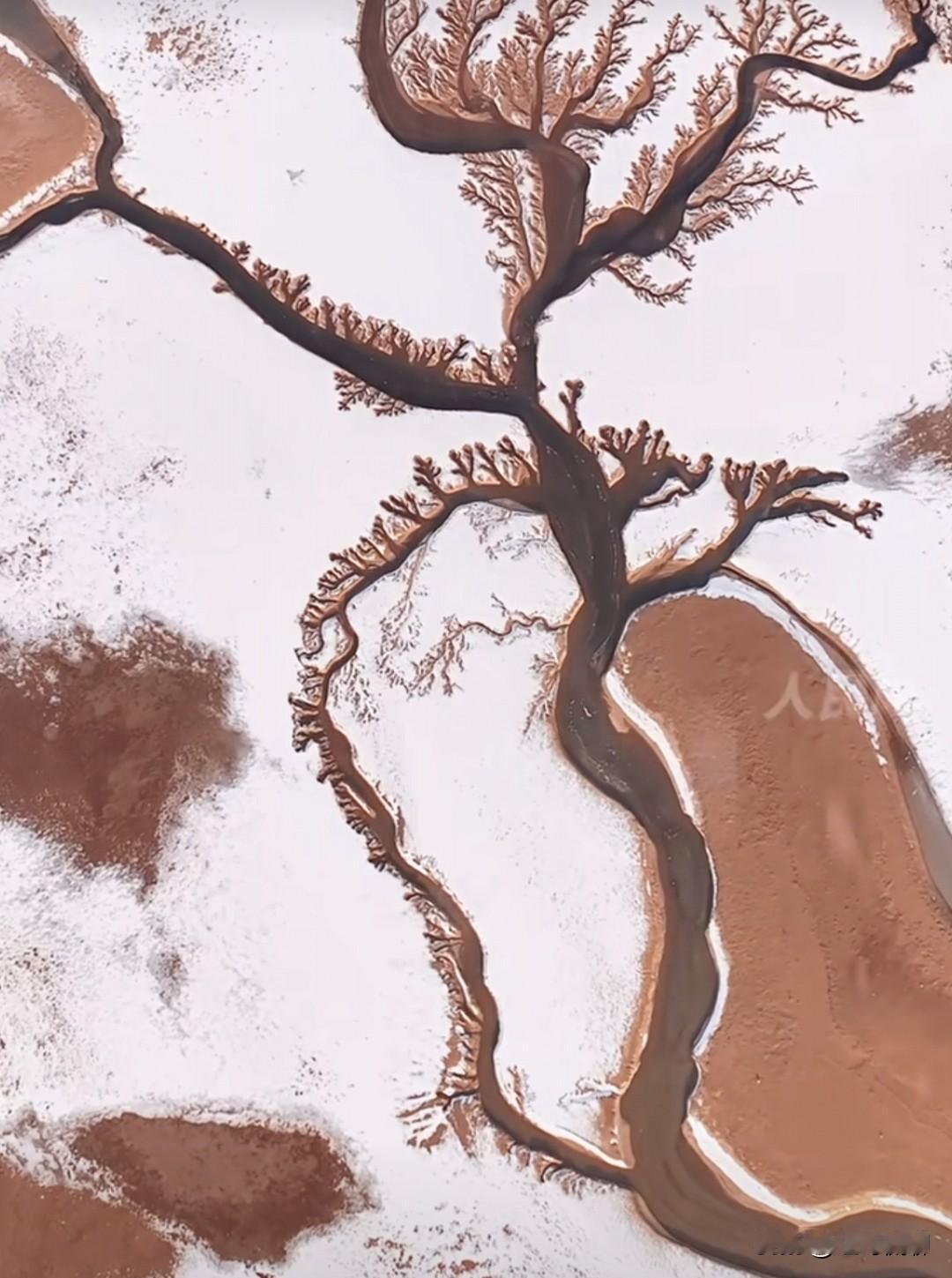 其实18年自贸区就开始了，你觉得变化大吗？现在仅仅是在物理层面把它做全了[呲牙]