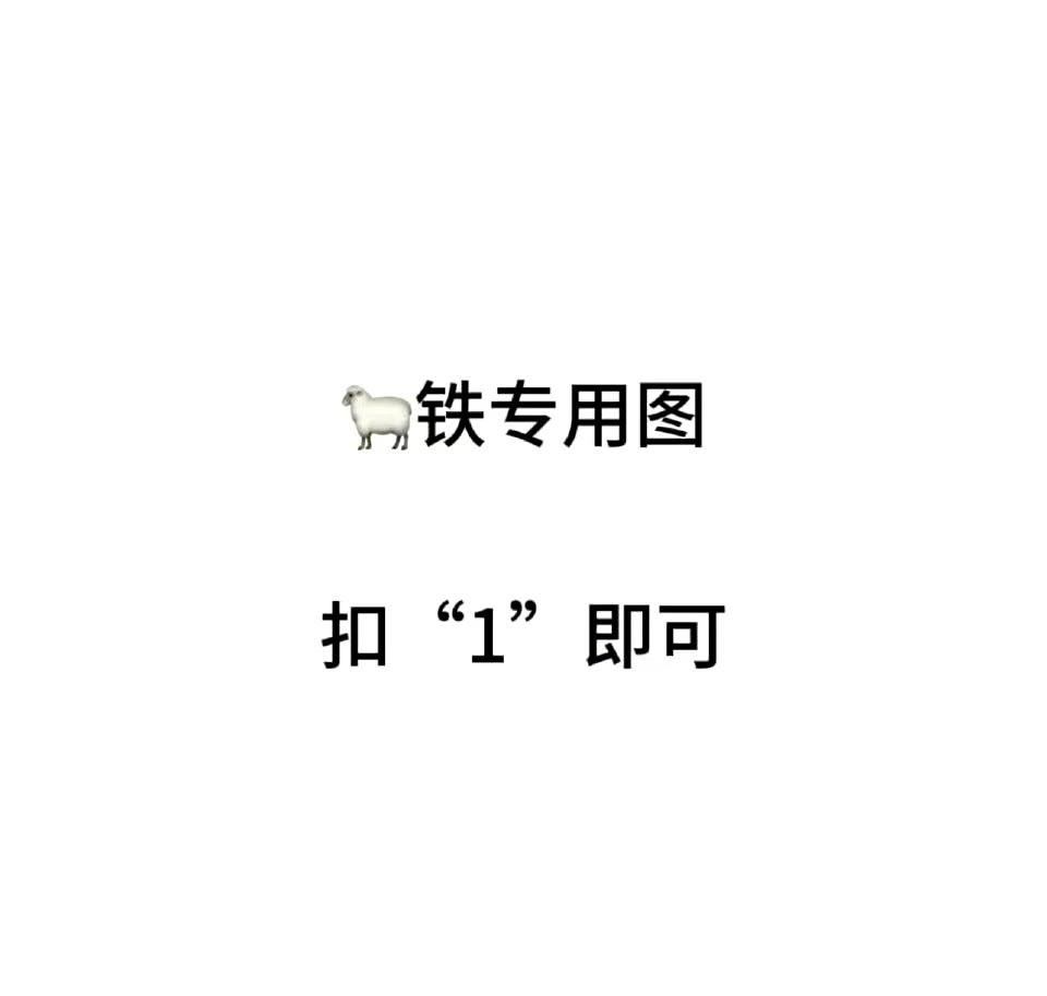 晚上好dd 