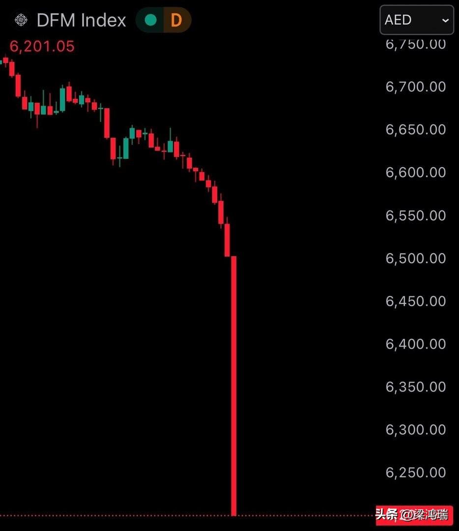 阿联酋股市崩盘。

由于担心股市下跌，迪拜和阿布扎比证券交易所暂停交易两天后于今