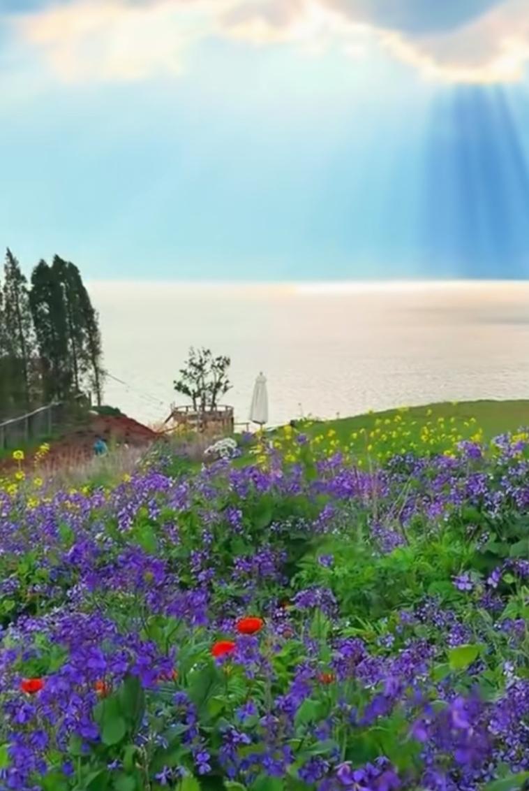 油画级美景 撞见了现实里的童话世界