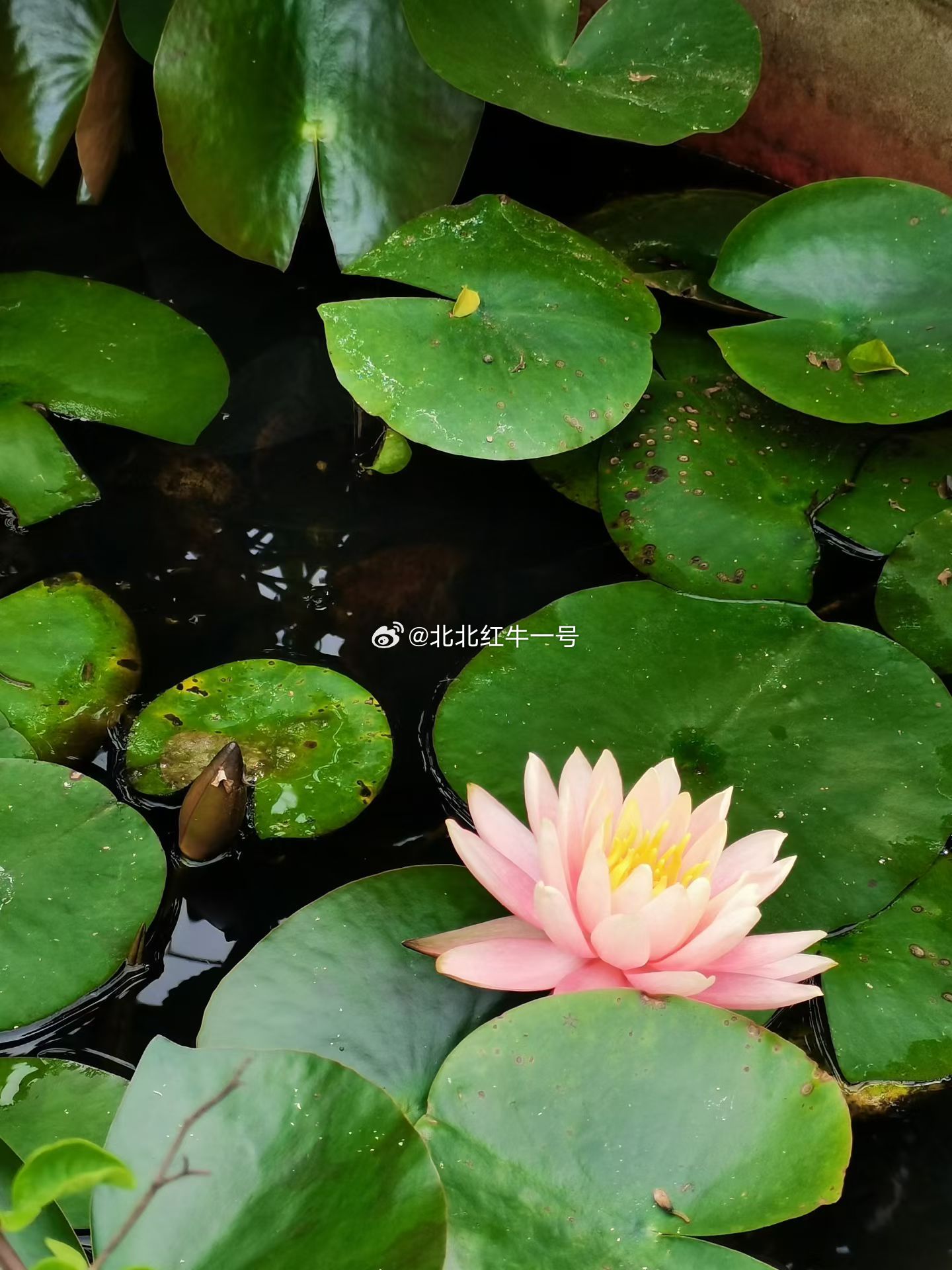 早评：3月收官日，A股能否延续反弹？量能仍是关键外围市场方面，昨夜欧美股市涨跌互