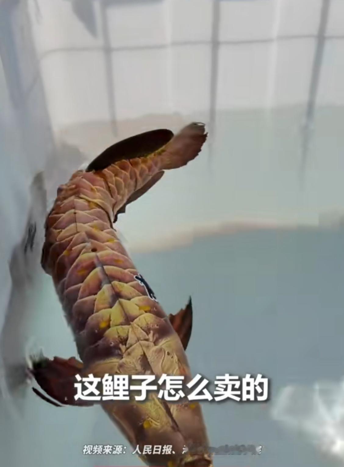 舰艇开放日，游客冷不丁一句话逗乐帅气的兵哥哥，那眼神简直亮了！
当时现场正在展示