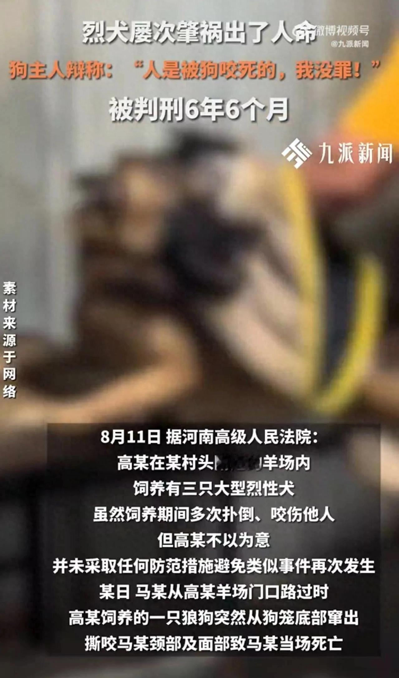 烈犬屡次咬人主人不重视，撕咬路人出人命获刑6年半，主人辩称：人是被狗咬死的，我没