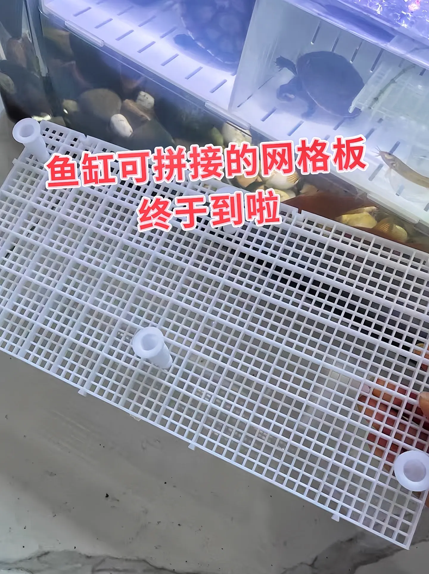 养鱼养龟人必备小神器，可做乌龟晒台、鱼缸造景垫板、防跳网、鱼缸隔离板...