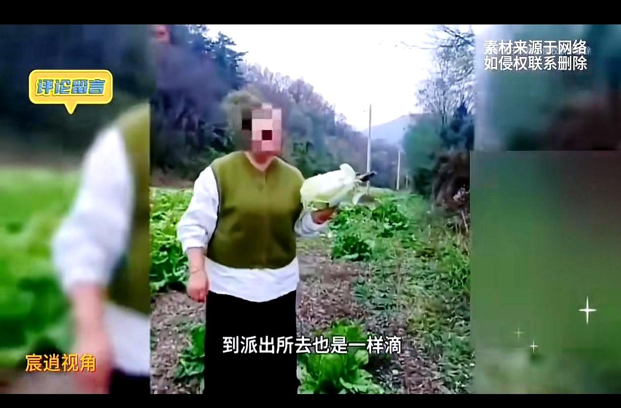 开奔驰就能随便去菜地里“顺手牵羊”吗？
这事真是让人看得直摇头。

山东一位胖乎