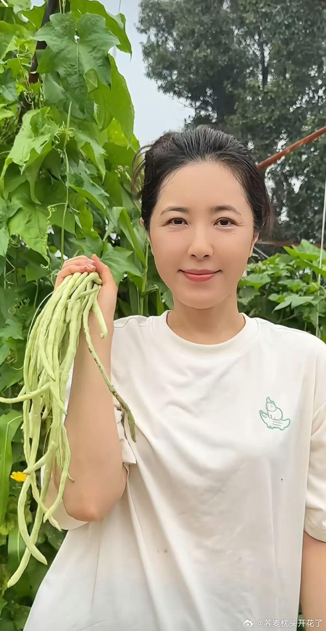 曾黎种菜收菜的过程好治愈曾黎分享的种菜日常好暖心！从种菜到收菜全程治愈，劳动的快