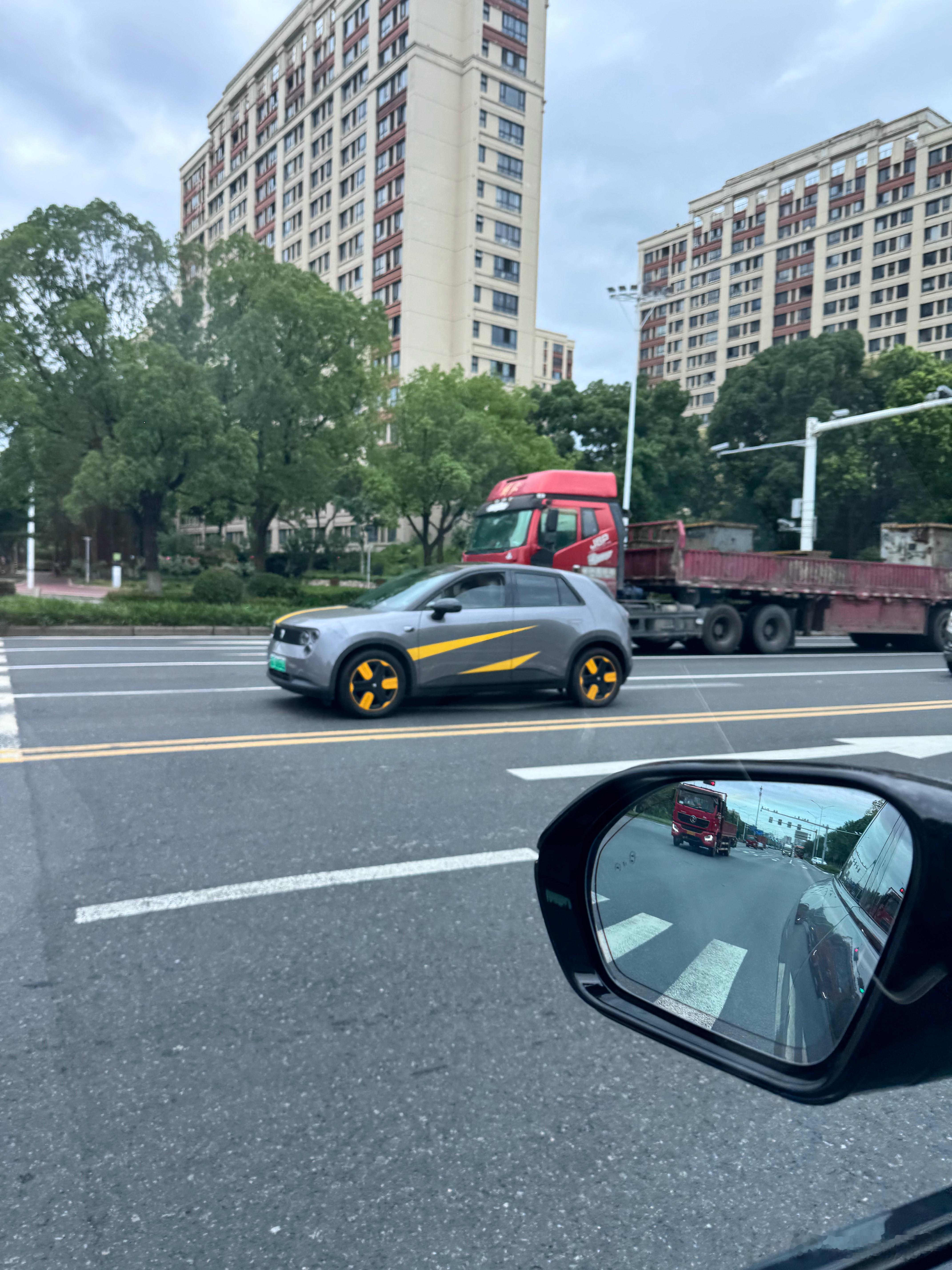 路上已经能经常看到小虫子了，有点意思电动兄弟 ​​​