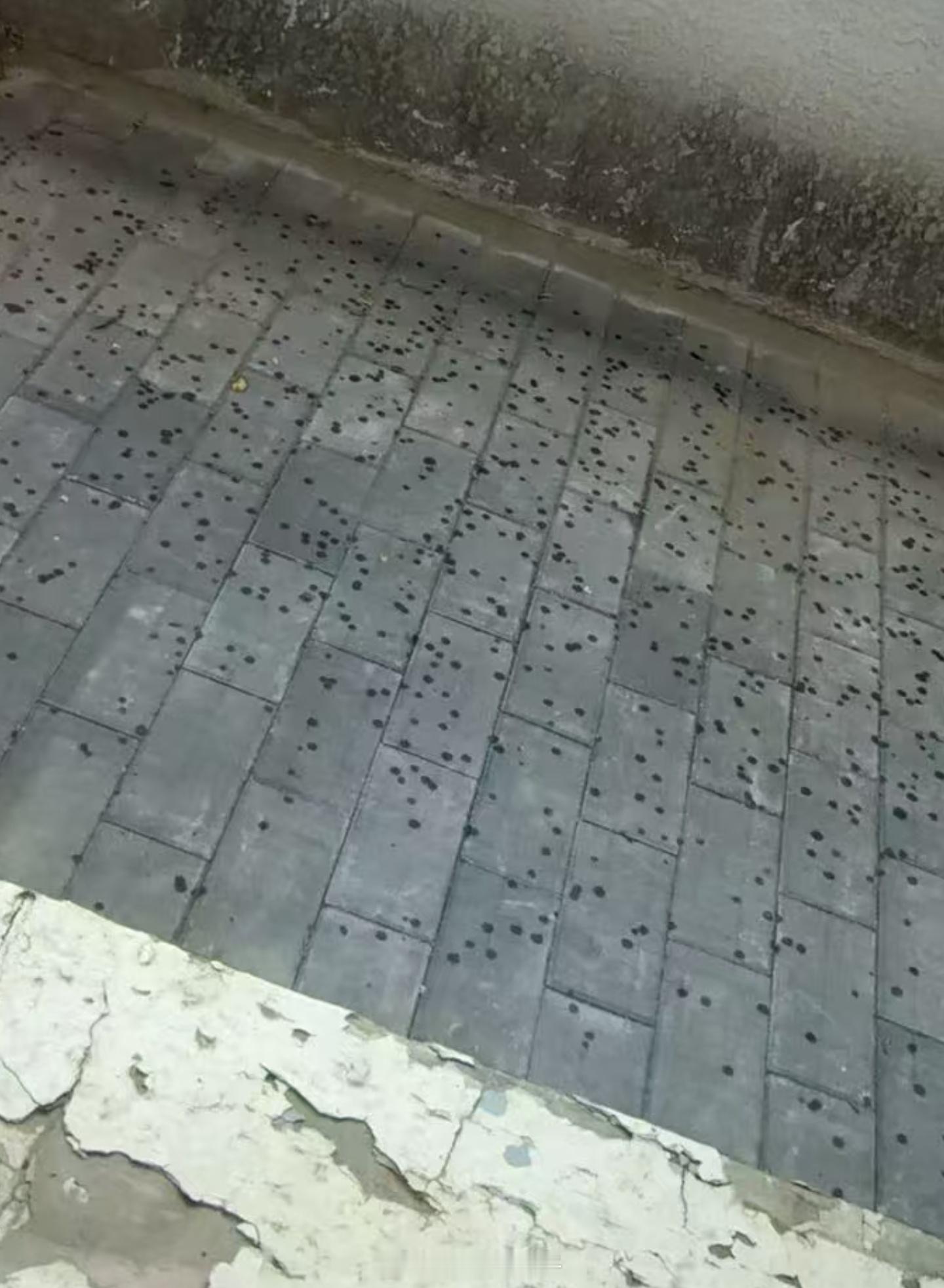 南三环已经开始下雨了，快跑！