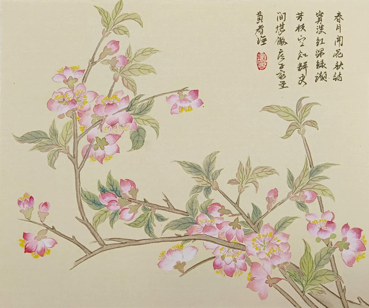 国画‖没骨花卉册页3之桃花