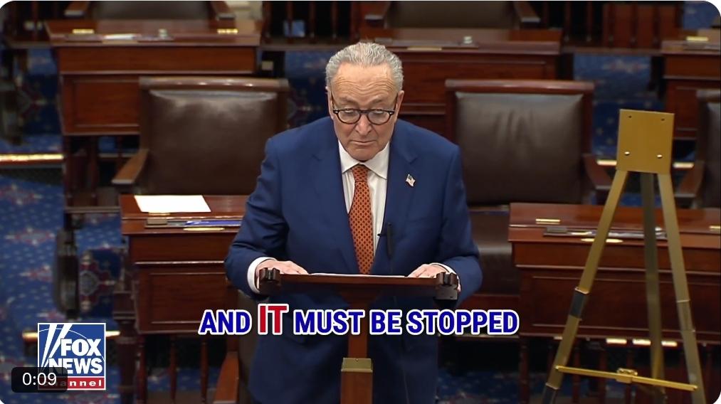 美国参议院领袖舒默：“美国移民及海关执法局 (ICE) 和美国海关与边境保护局 