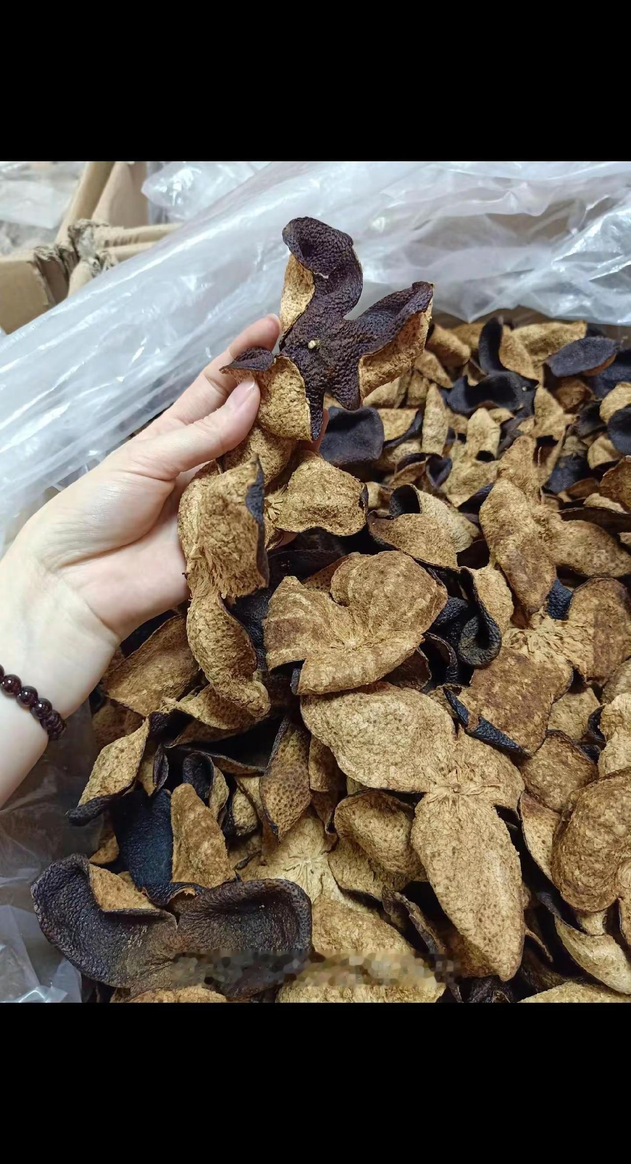 敬这人间的风，敬那未完成的梦，人生下半场，学会与时光握手言和，不是岁月消磨了狂野