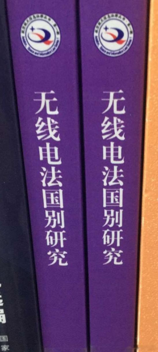 我昨天晚上终于明白为啥法国卢浮宫会丢那么多东西了！丢那么老些珠宝是因为安保不行，
