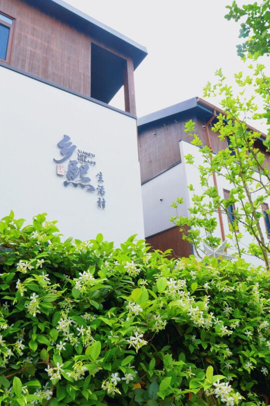 盛夏避暑，团建升温丨解锁今夏惬意时光‼️