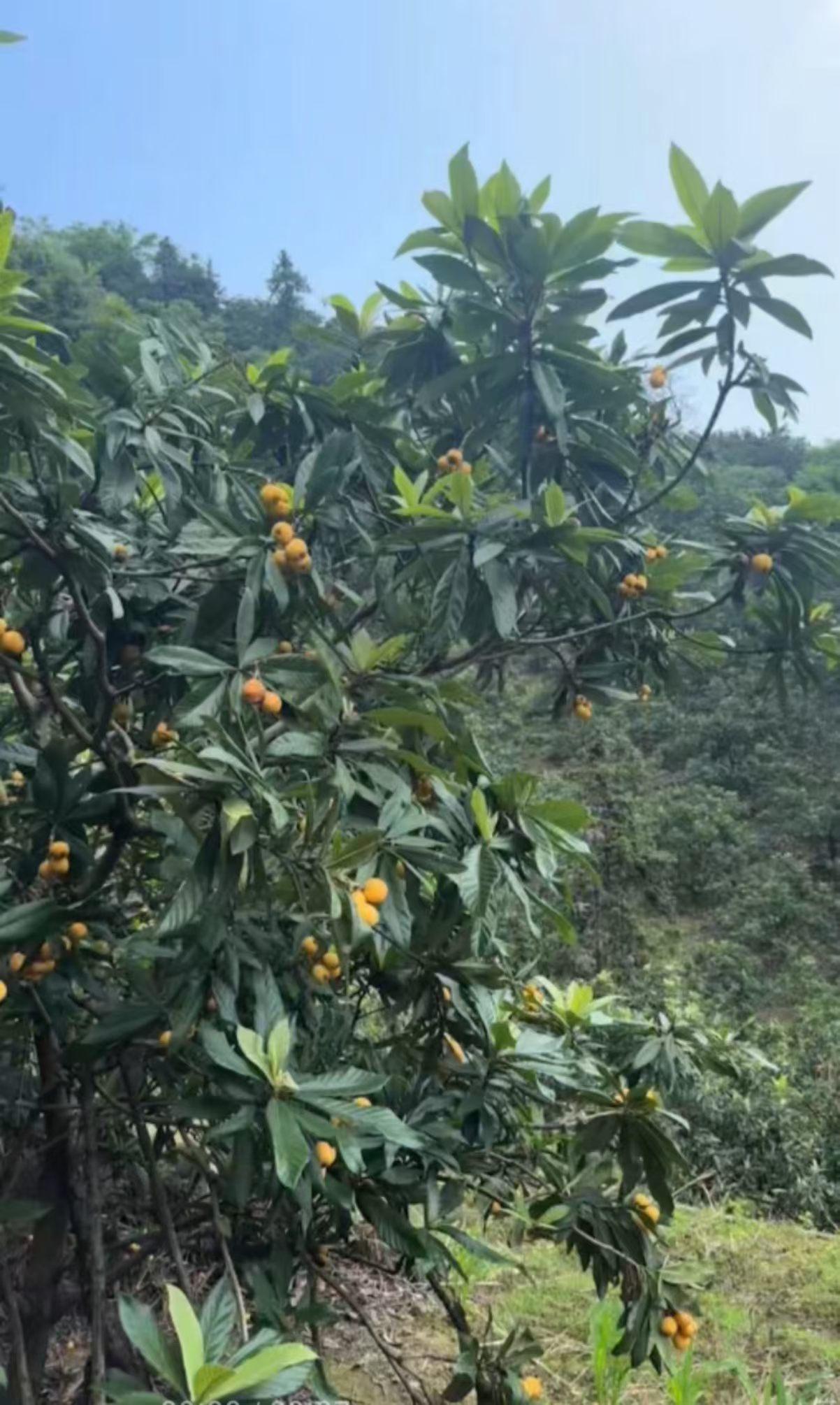 AI 代替老师批改作业吗？ 我认为支持
老师平时工作辛苦，能省力一点也是好的٩(
