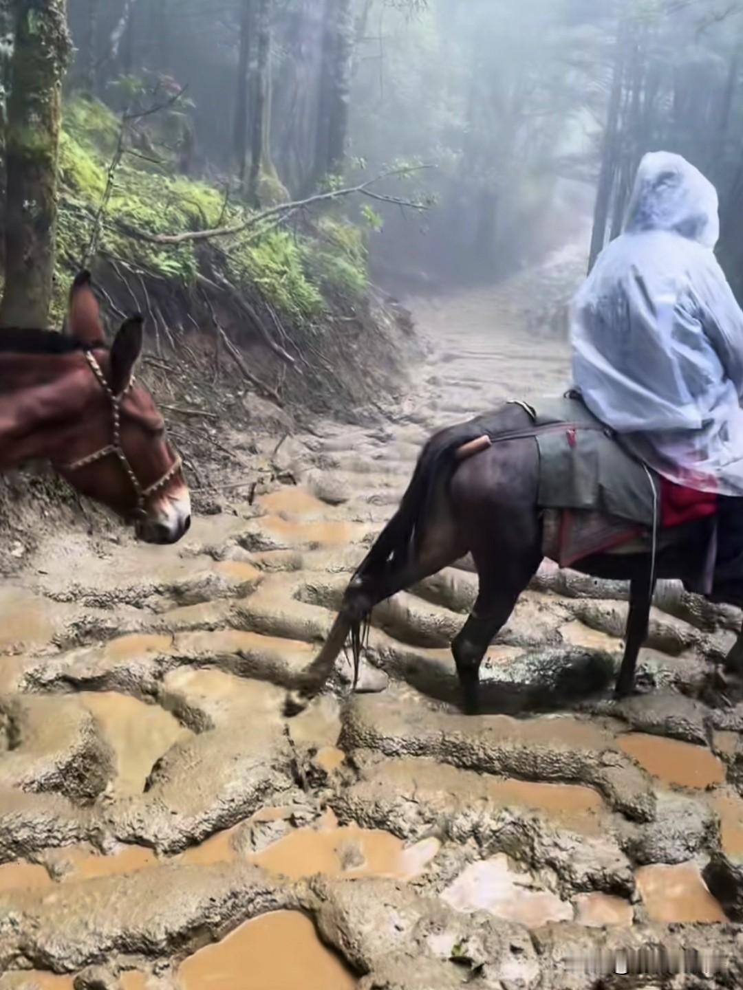 难怪说人不能吃的太饱，花钱到这种地方旅游有必要吗？