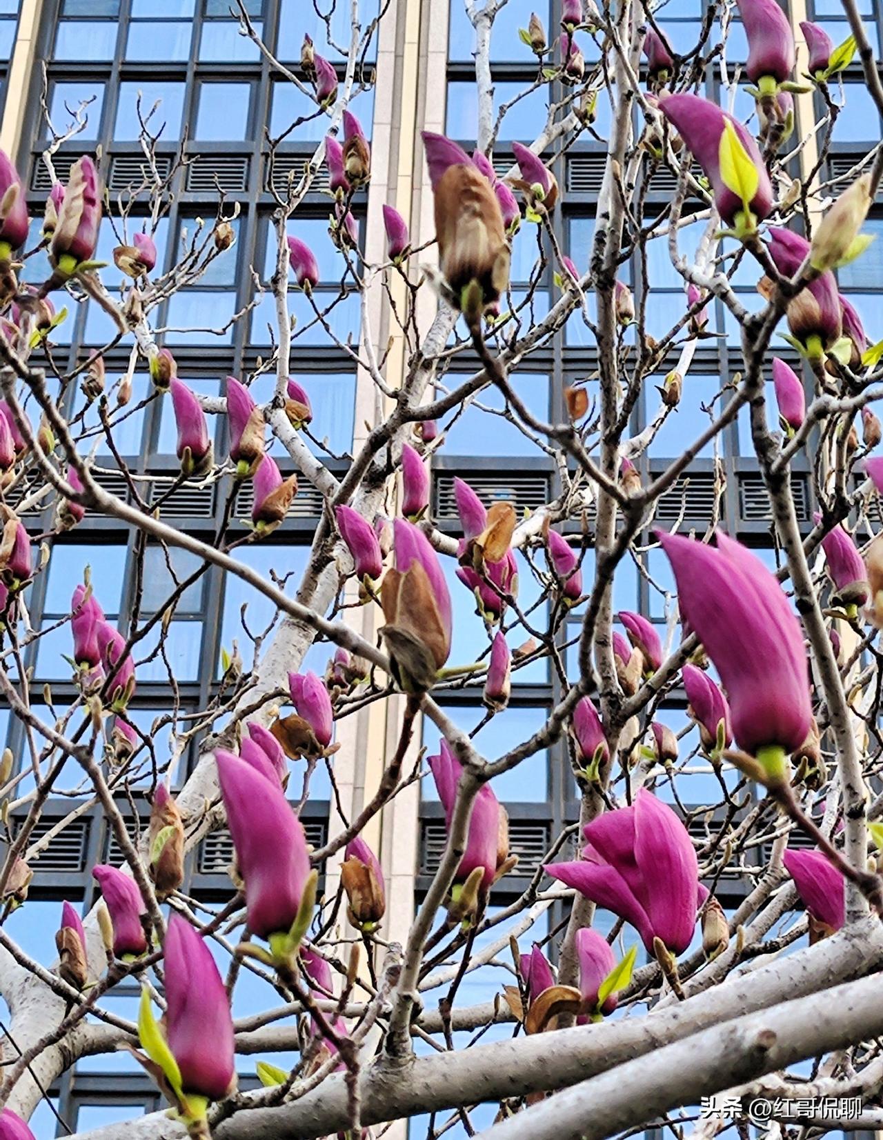 交大创新港位于陕西省西咸新区沣西新城，周边分布着多处国家级重点古迹，介绍如下：