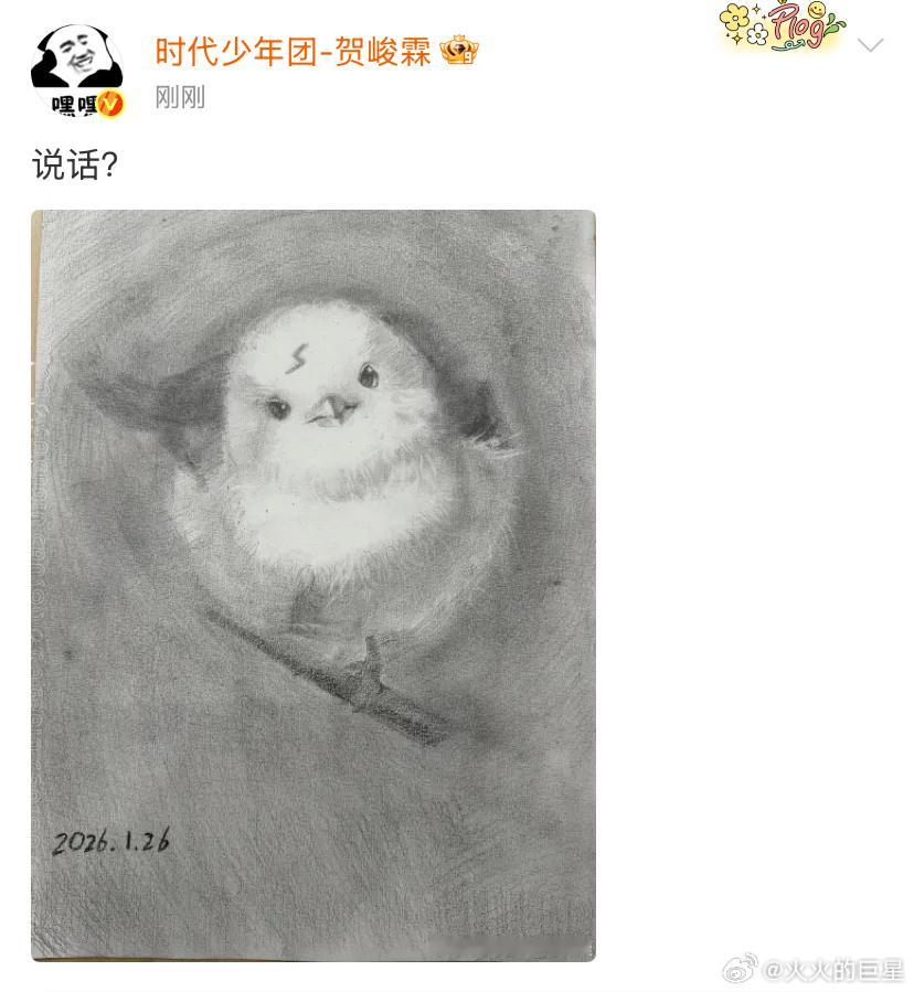 贺峻霖画画好好看😻贺峻霖哈利波特版小鸟贺峻霖素描版哈利波特小鸟