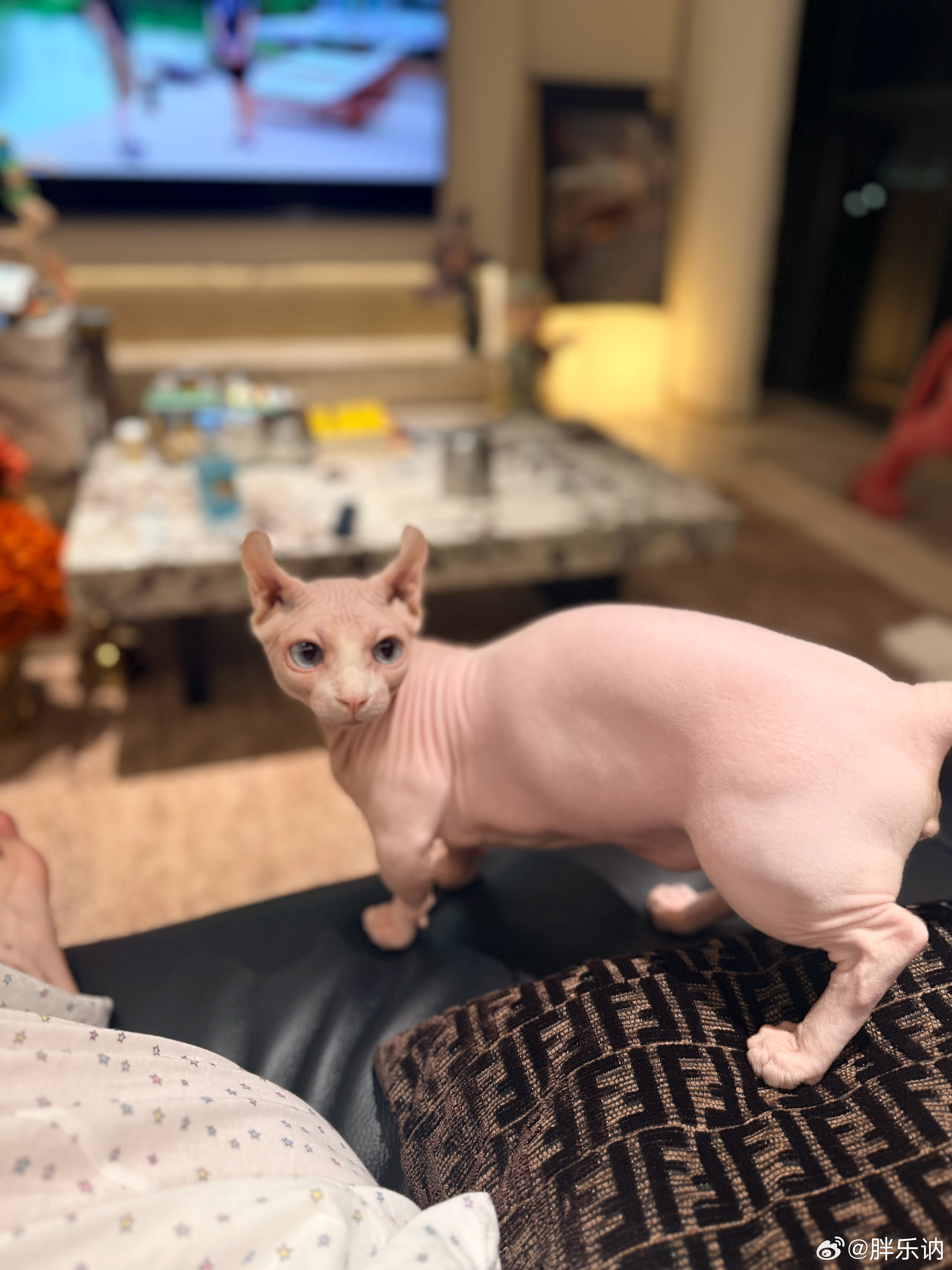 嘿嘿 