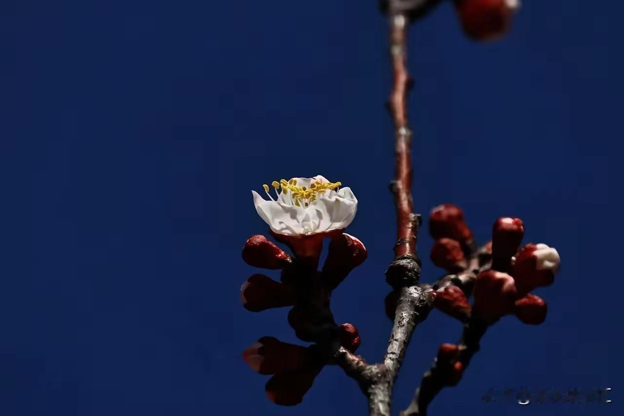 韦东奕做不做科学家，这个无关紧要。重要的是一个人要把自己的人生活得有意义。还得要