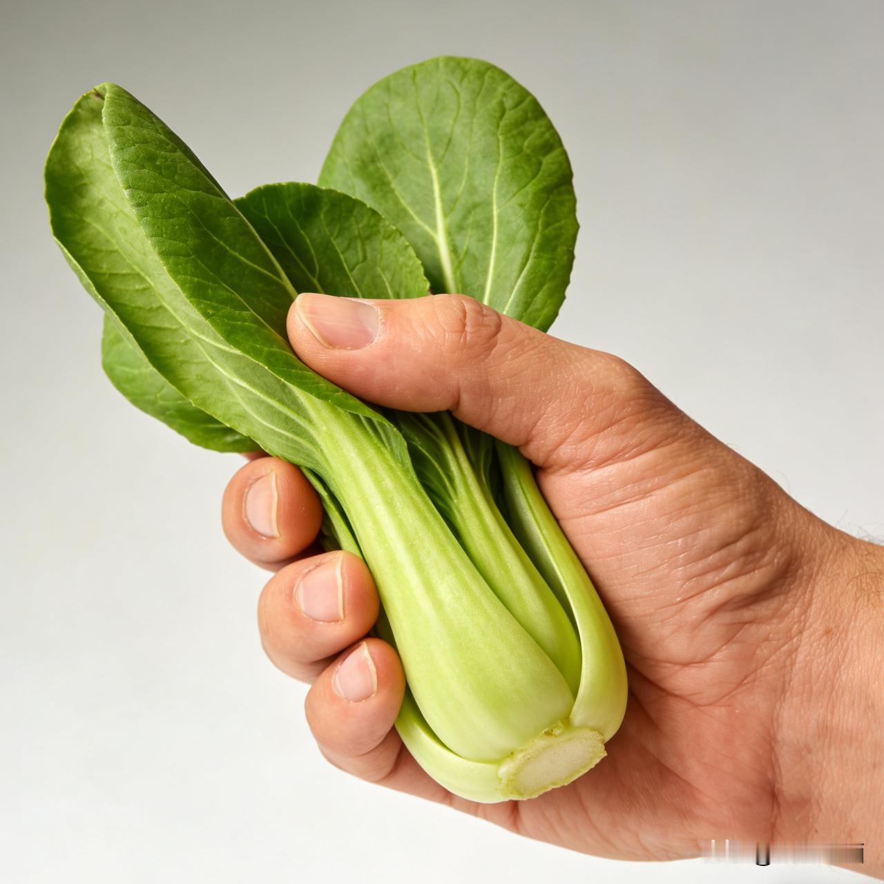 不能。

头条爱啥我吃啥，

青菜叶子一大把。