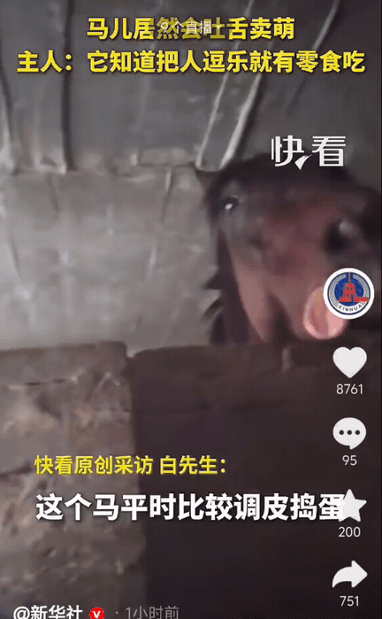 彻底成精了！男子的马场有一匹特别调皮捣蛋的马，但是越好动越聪明，每次男子进马场查