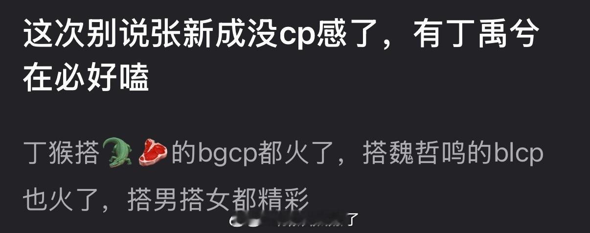 有网友说这次的南部档案别说张新成没cp感了，有丁禹兮在必好嗑，毕竟他搭男搭女都精