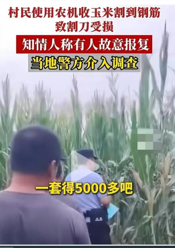 缺德！河北邢台，小伙开收割机在地里抢收玉米，谁知机器接连故障，无法工作，他下车仔