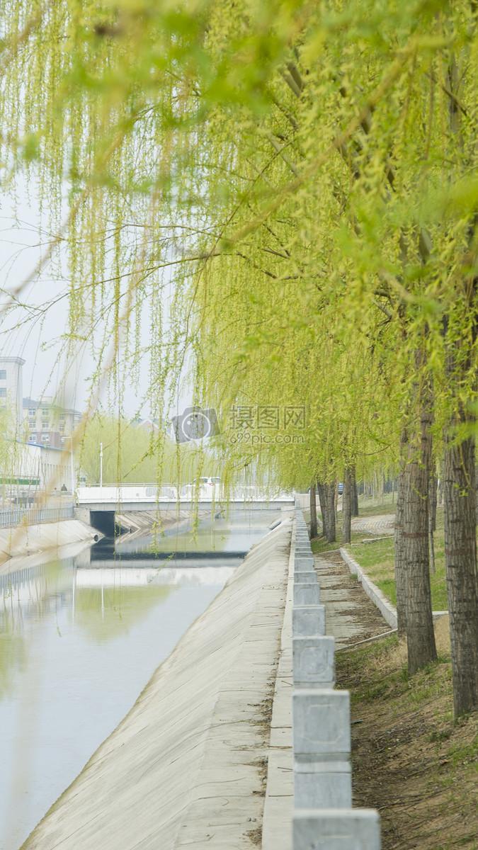 季节的更迭总是悄然无声。前些日子还裹着厚重的外套，不经意间一抬头，风已变得轻柔，