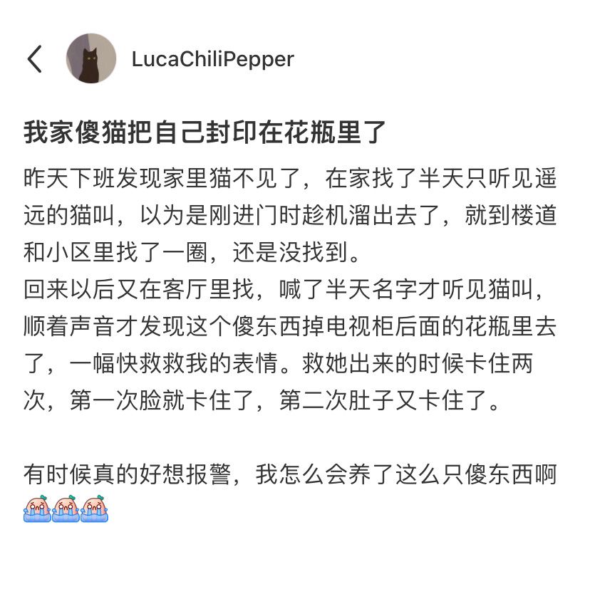 傻小猫把自己封印在花瓶里面了[允悲] ​​​